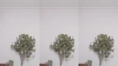 2023-08-12_07-26-05 - dmsdms1247 - BJ 꾸삐삐