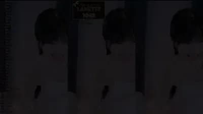 2023-10-04_05-24-34 - mina8017 - BJ 말랑소히♡