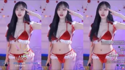 2024-12-25_03-16-36 - seoi1016--seg1 - BJ 정서이_