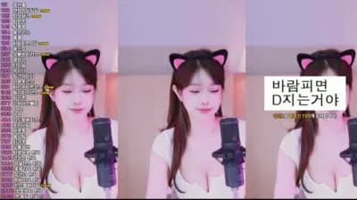 2025-02-05_19-15-33 - crazycatsss - BJ 재희。