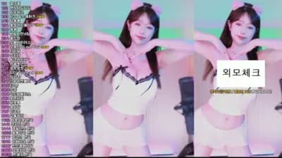 2025-04-17_19-11-55 - crazycatsss - BJ 재희。