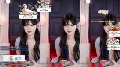 2025-04-19_03-00-45 - golaniyule0--seg2 - BJ 고라니율
