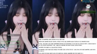 KBJ 13 - BJ Big Collection