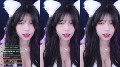 KBJ 3 (9) - BJ Big Collection