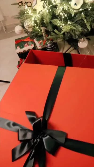 inkyung97 크리스마스선물 Christmas Present - BJ 강인경